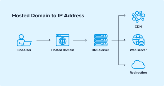 ipinfo reverse dns